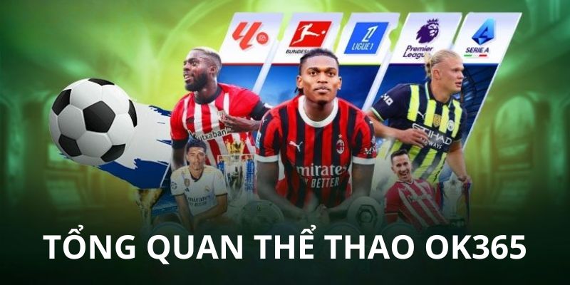 Sơ lược về thể thao OK365